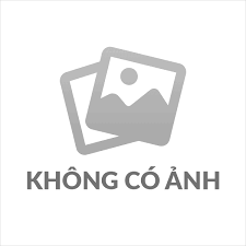 QUÁ TRÌNH PHÁT TRIỂN